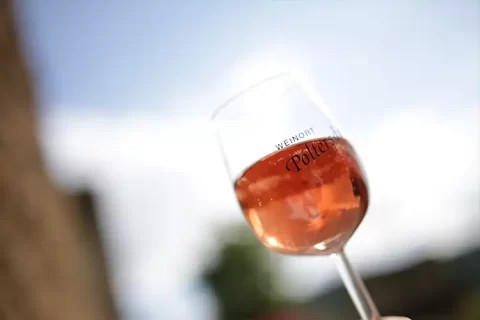 Wine glass with ros&eacute; from Ellenz-Poltersdorf