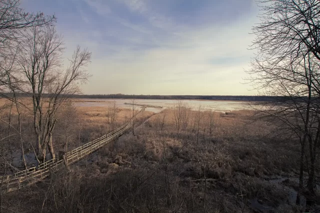 an old boardwalk leading to a small lake in late autumn