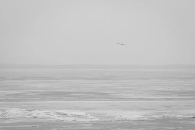 a bird flying in the sky above a frozen lake